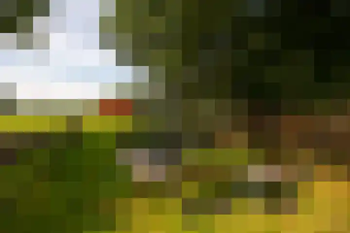 Zutphenseweg 118 Lochem thumbnail 86