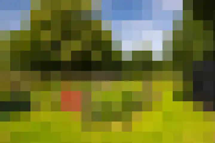 Zutphenseweg 118 Lochem thumbnail 88