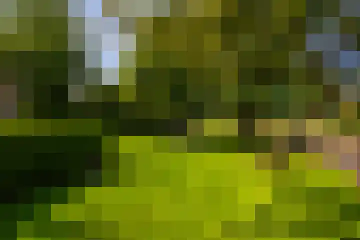 Zutphenseweg 118 Lochem thumbnail 90