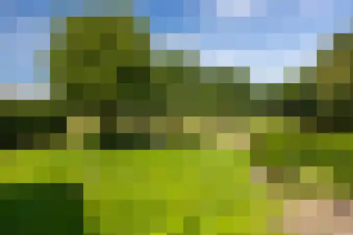 Zutphenseweg 118 Lochem thumbnail 91