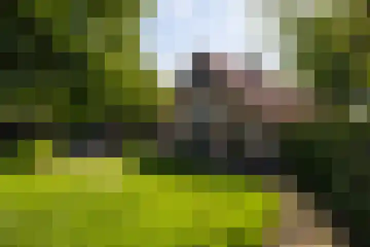 Zutphenseweg 118 Lochem thumbnail 92