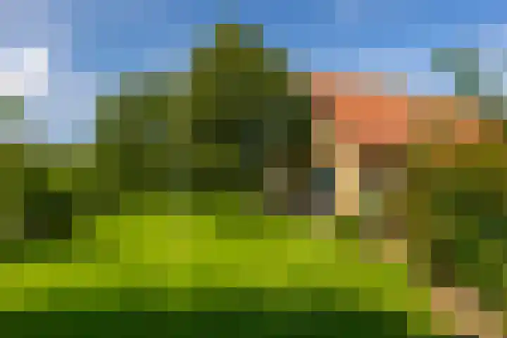 Zutphenseweg 118 Lochem thumbnail 93
