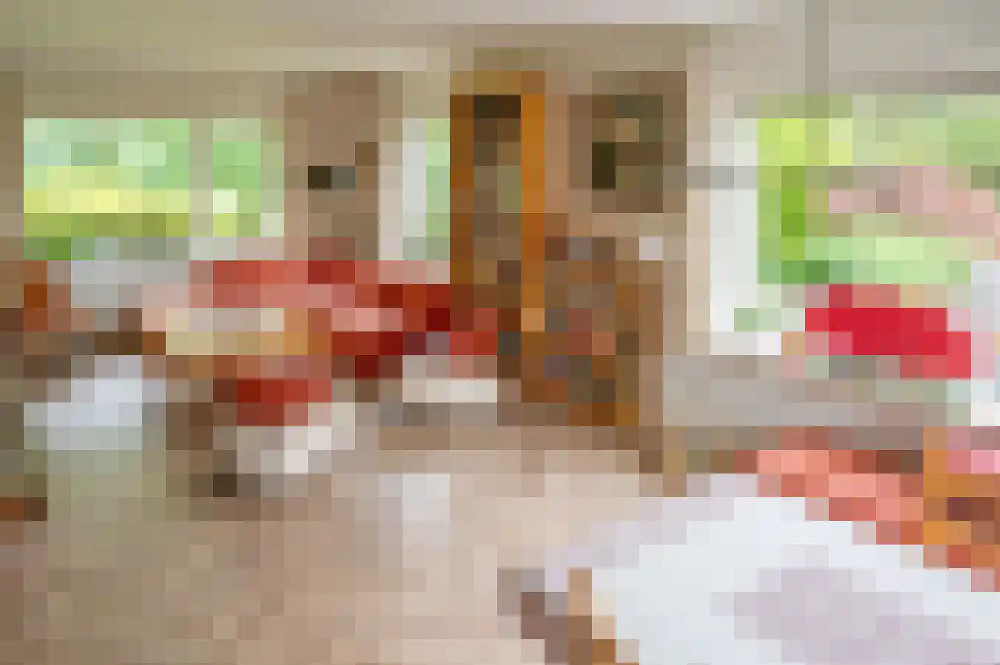 Zutphenseweg 119 Vorden thumbnail 24