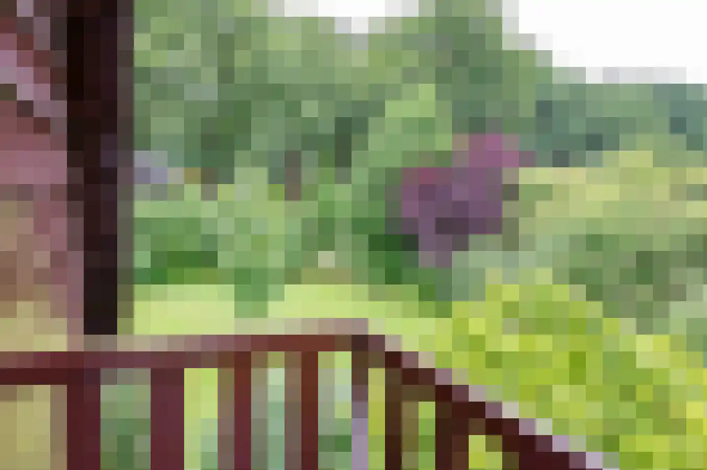 Zutphenseweg 119 Vorden thumbnail 27