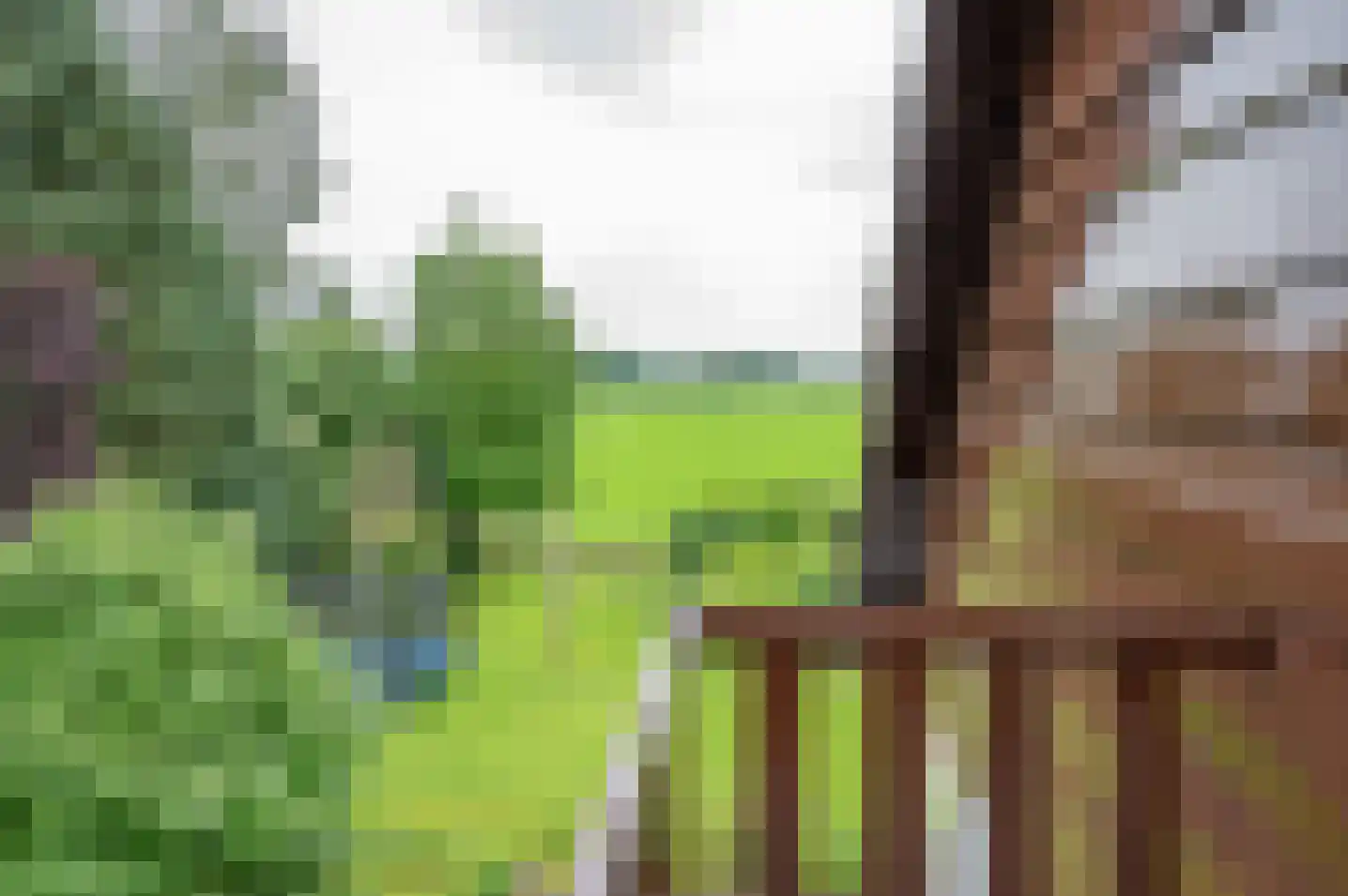Zutphenseweg 119 Vorden thumbnail 28