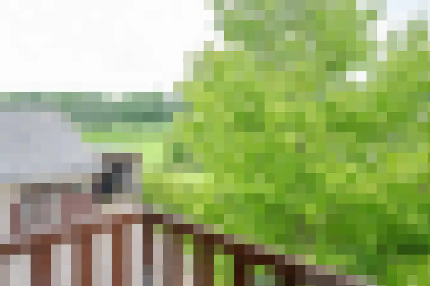 Zutphenseweg 119 Vorden thumbnail 34