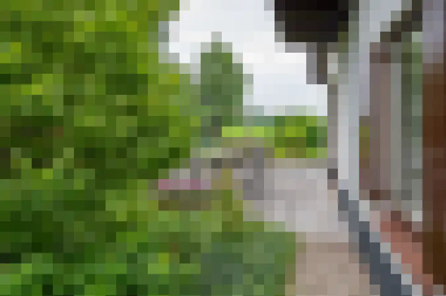 Zutphenseweg 119 Vorden thumbnail 45