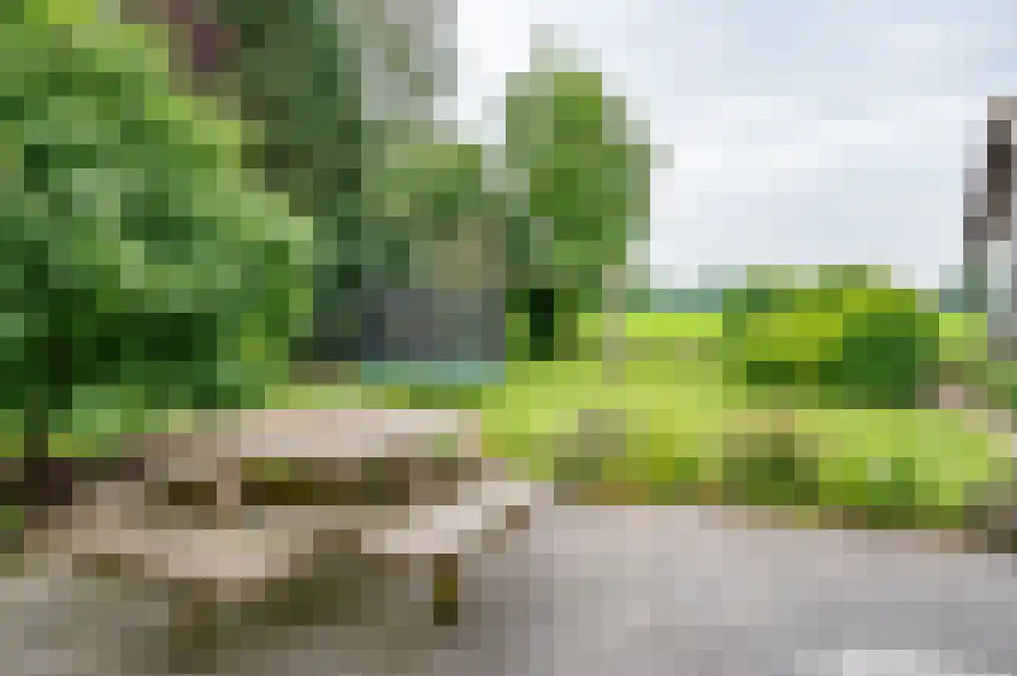 Zutphenseweg 119 Vorden thumbnail 46