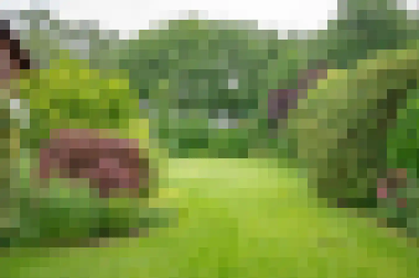 Zutphenseweg 119 Vorden thumbnail 48