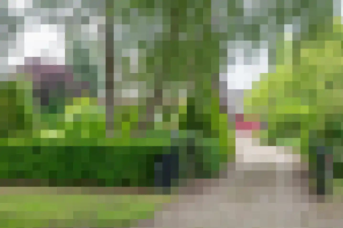 Zutphenseweg 119 Vorden thumbnail 5