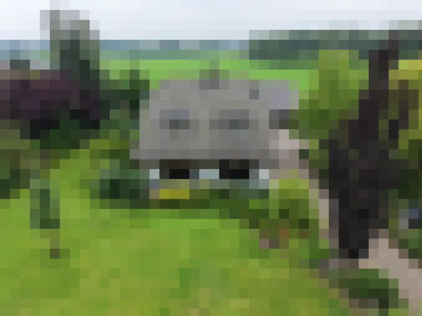 Zutphenseweg 119 Vorden thumbnail 51