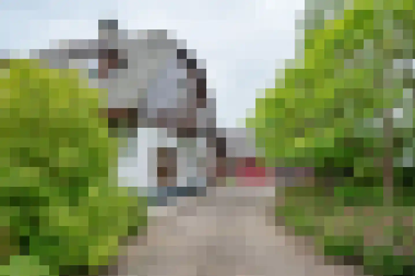 Zutphenseweg 119 Vorden thumbnail 6