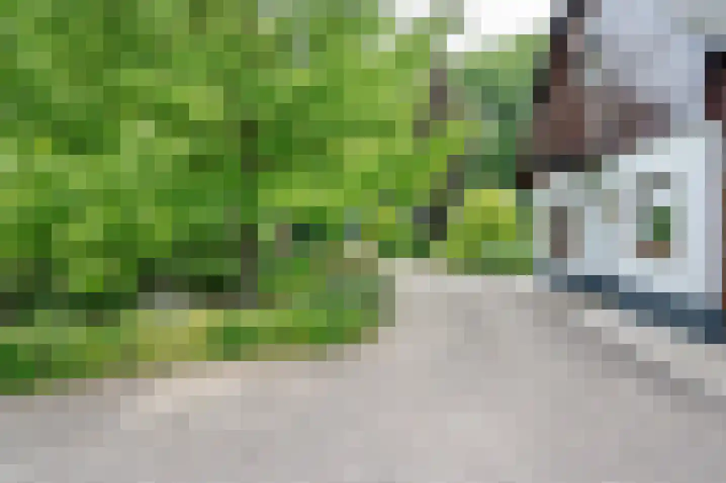 Zutphenseweg 119 Vorden thumbnail 7