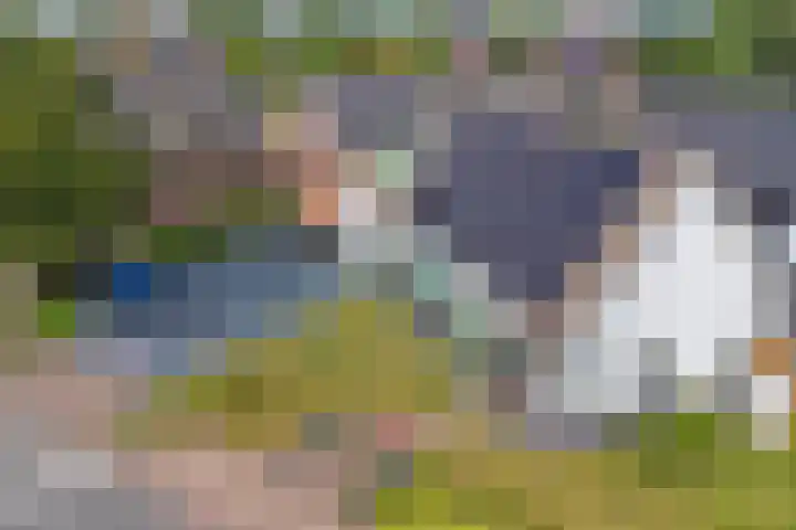 Zutphenseweg 126 a Eefde thumbnail 36