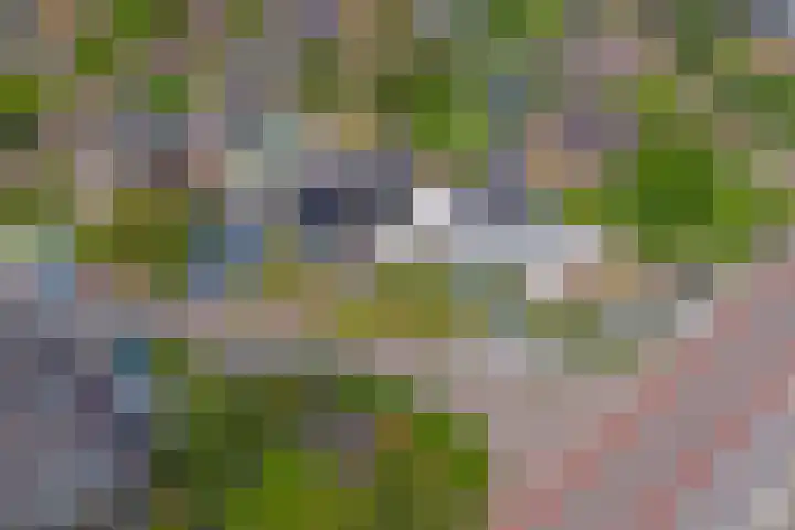 Zutphenseweg 126 a Eefde thumbnail 37