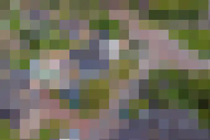 Zutphenseweg 126 a Eefde thumbnail 38