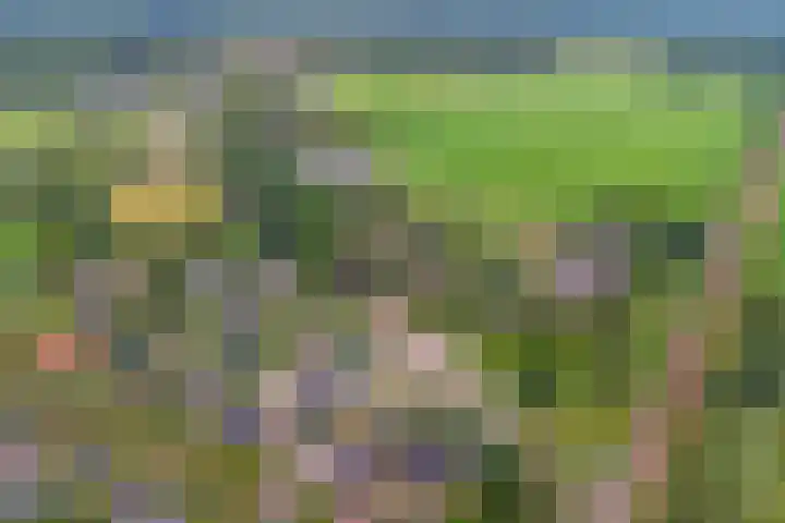 Zutphenseweg 126 a Eefde thumbnail 40