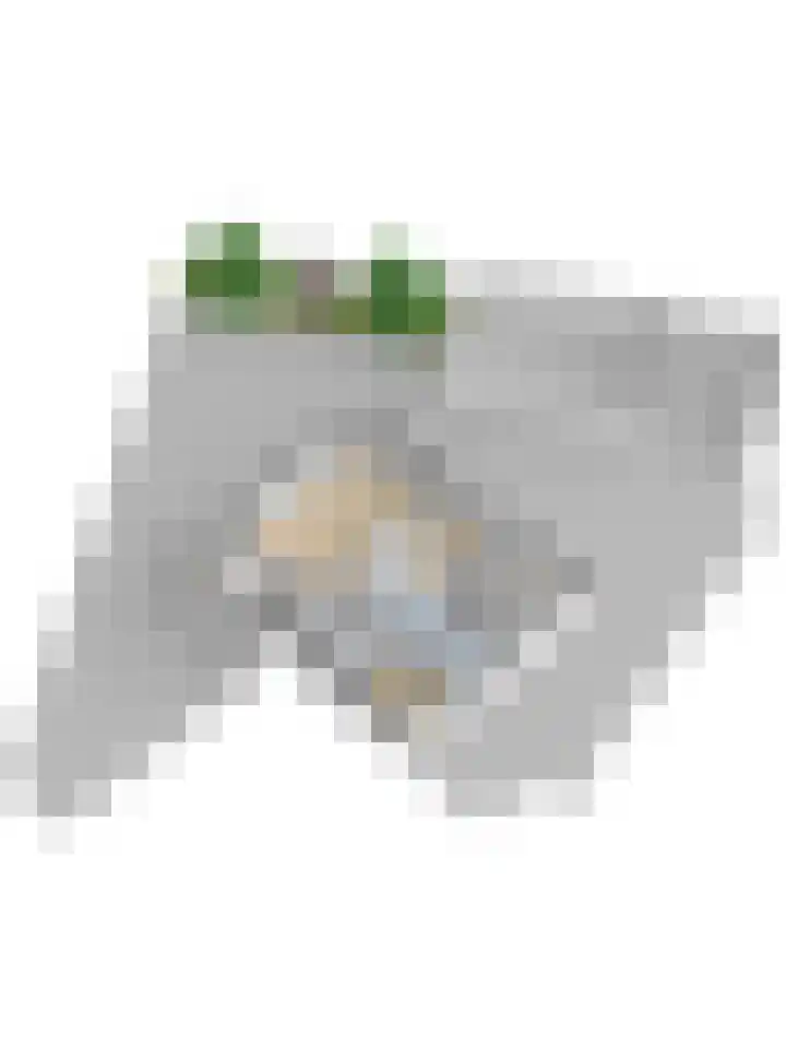 Zutphenseweg 126 a Eefde thumbnail 44