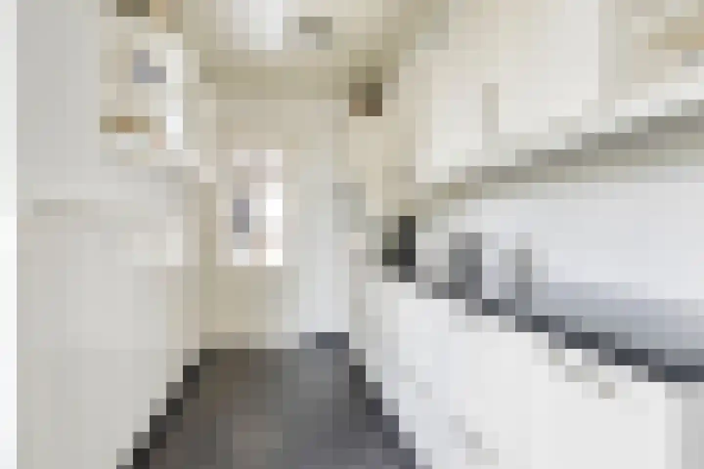 Zutphenseweg 140 Eefde thumbnail 11