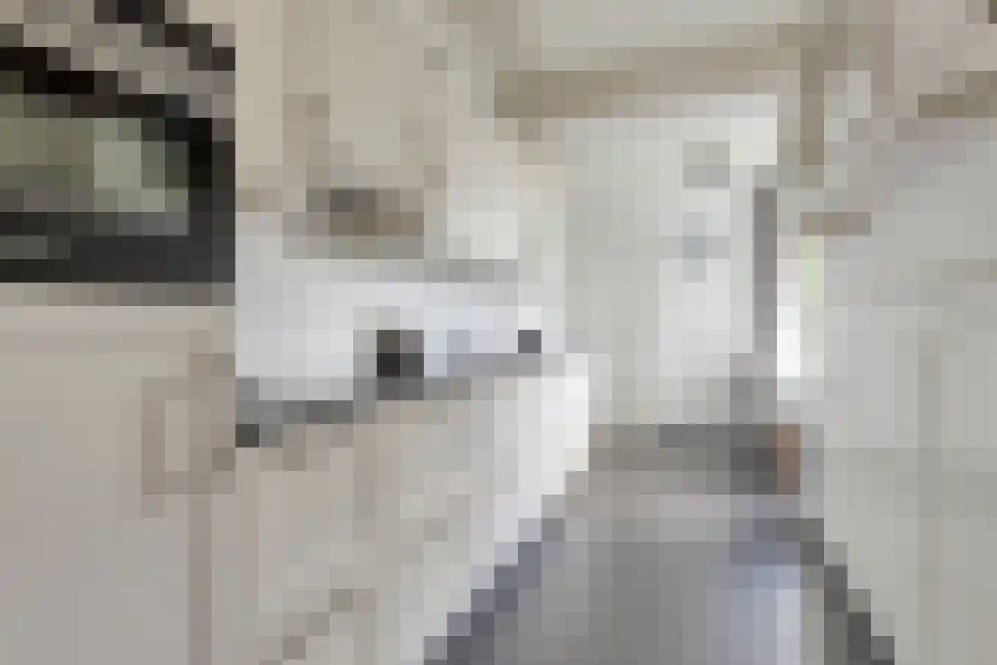 Zutphenseweg 140 Eefde thumbnail 13