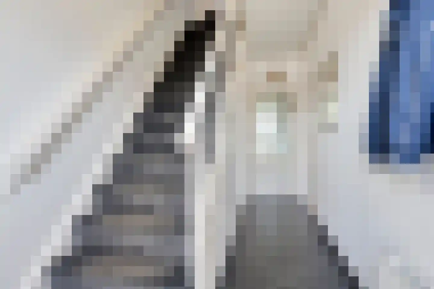 Zutphenseweg 140 Eefde thumbnail 18