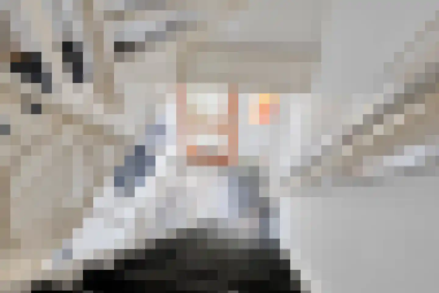 Zutphenseweg 140 Eefde thumbnail 19