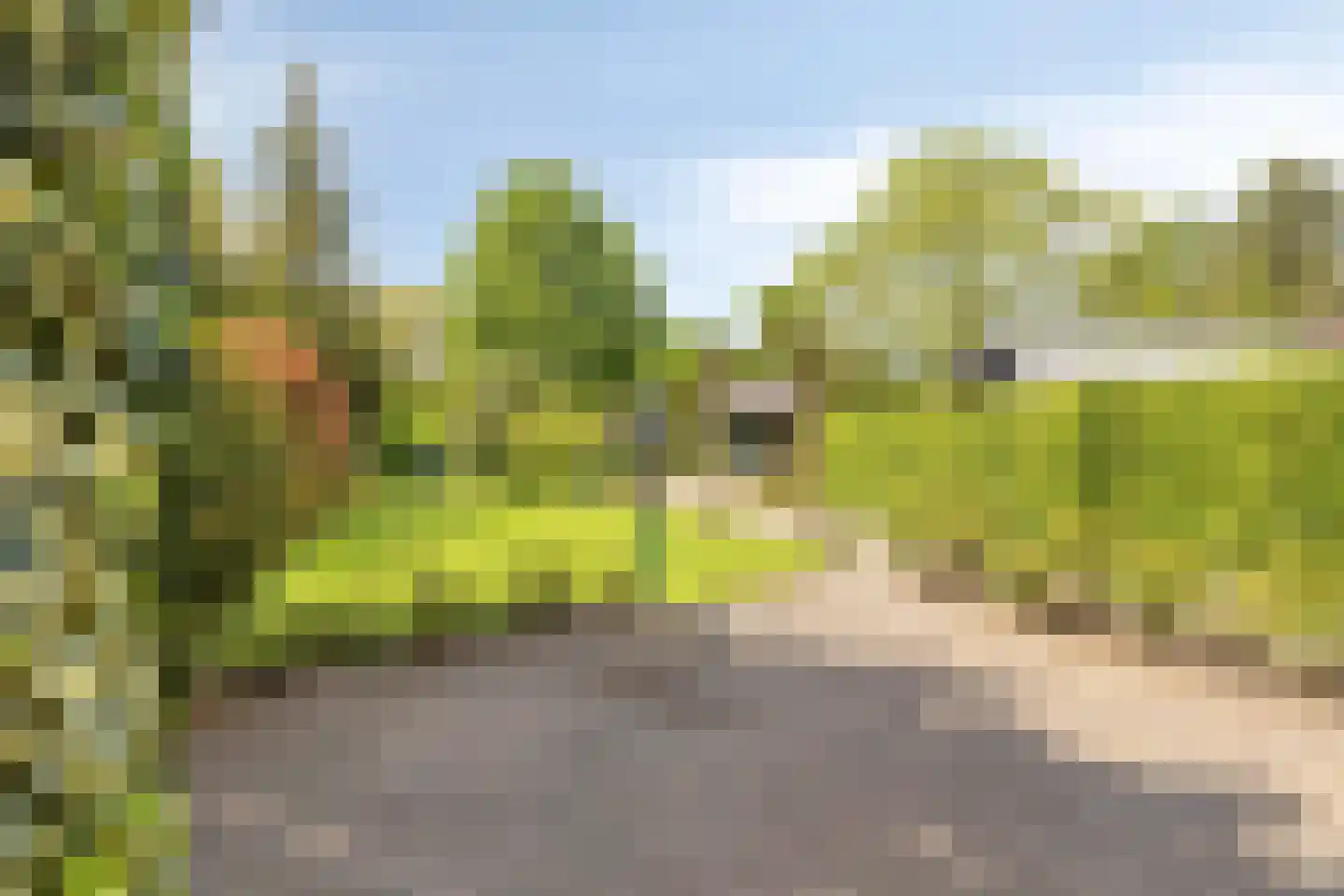 Zutphenseweg 140 Eefde thumbnail 35