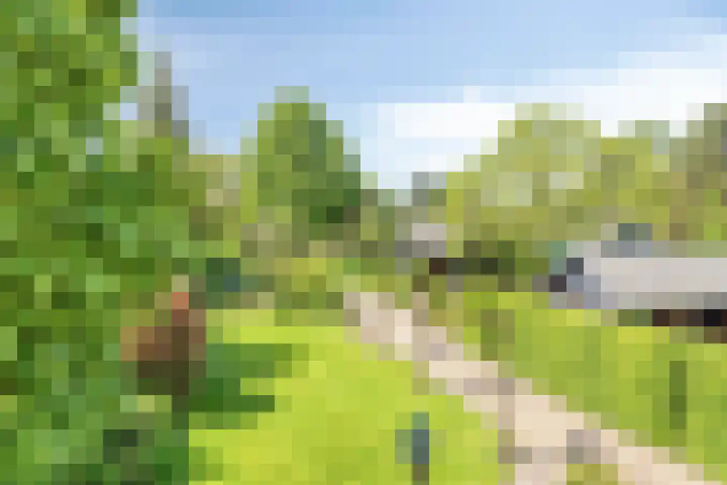 Zutphenseweg 140 Eefde thumbnail 36