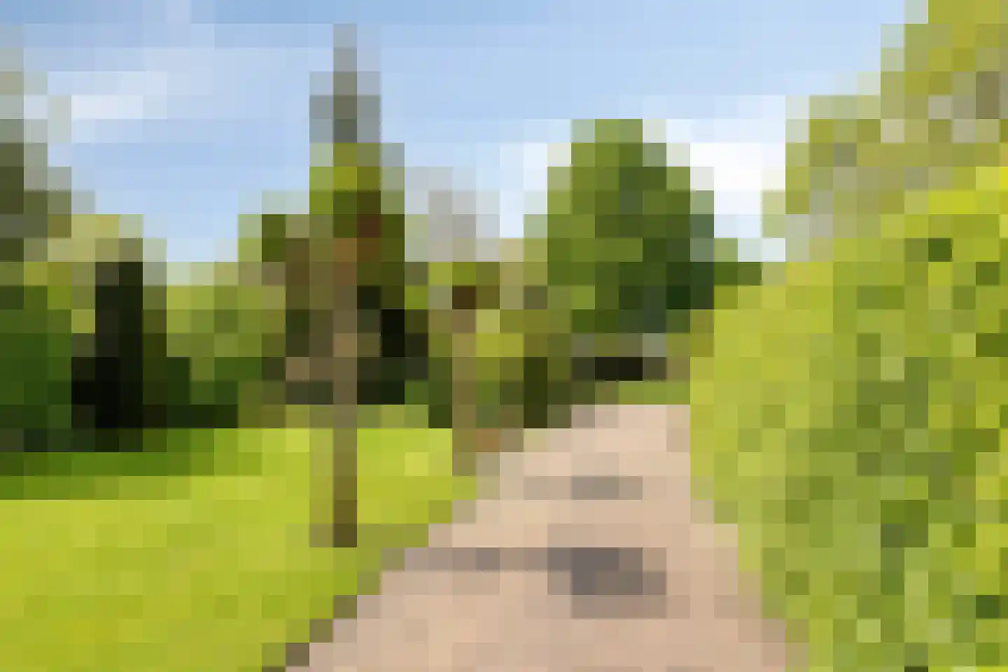 Zutphenseweg 140 Eefde thumbnail 37