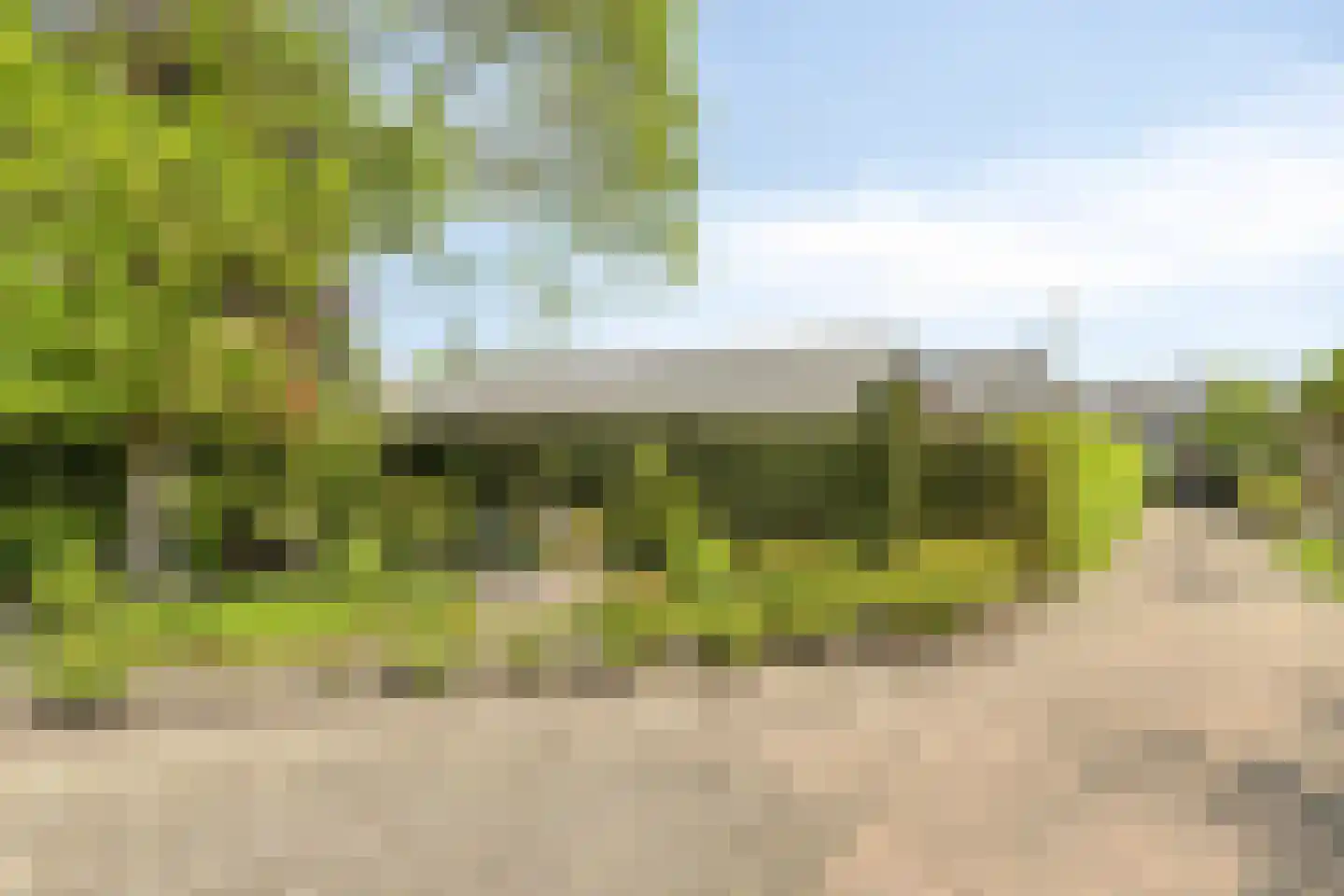 Zutphenseweg 140 Eefde thumbnail 38