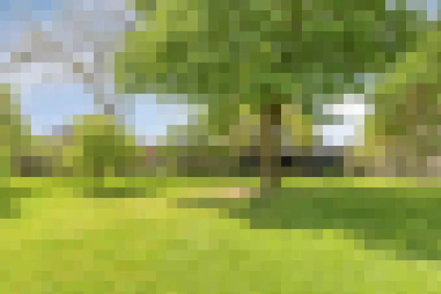 Zutphenseweg 140 Eefde thumbnail 41