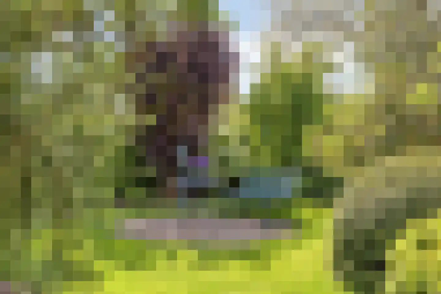 Zutphenseweg 140 Eefde thumbnail 42