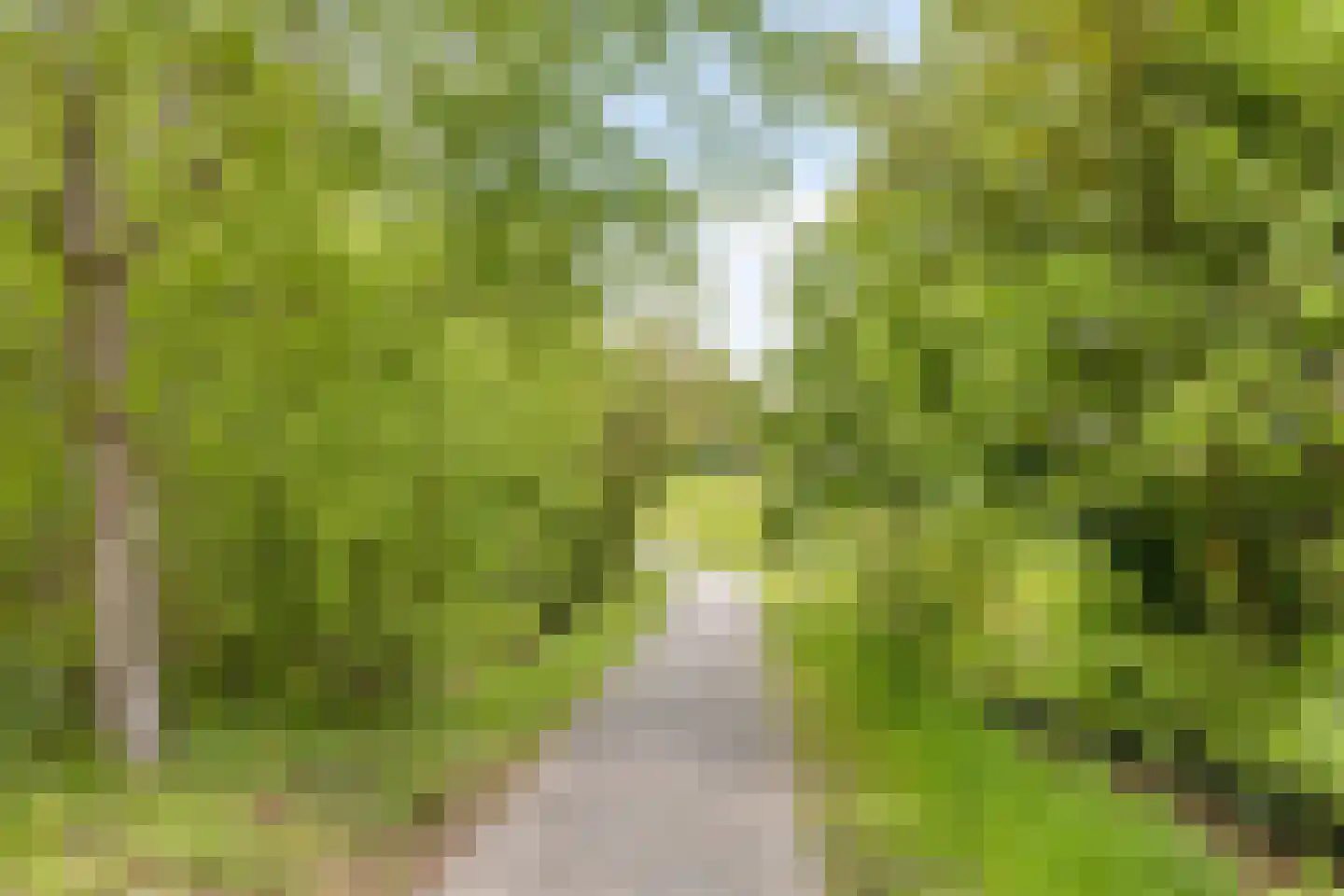 Zutphenseweg 140 Eefde thumbnail 45