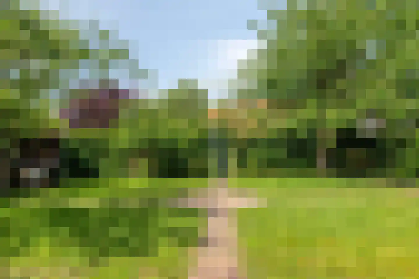 Zutphenseweg 16 Laren thumbnail 16