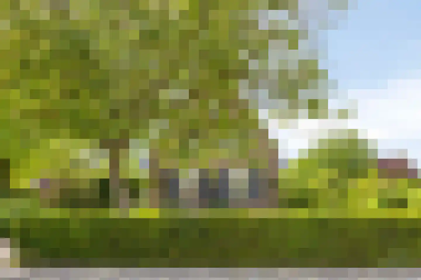 Zutphenseweg 16 Laren thumbnail 18