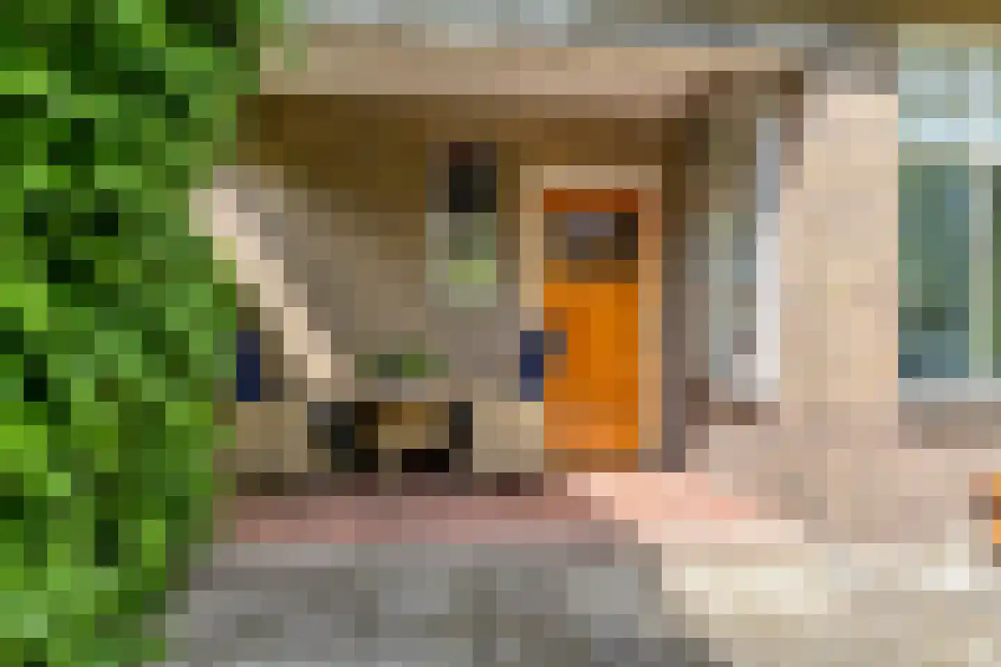 Zutphenseweg 16 Laren thumbnail 19