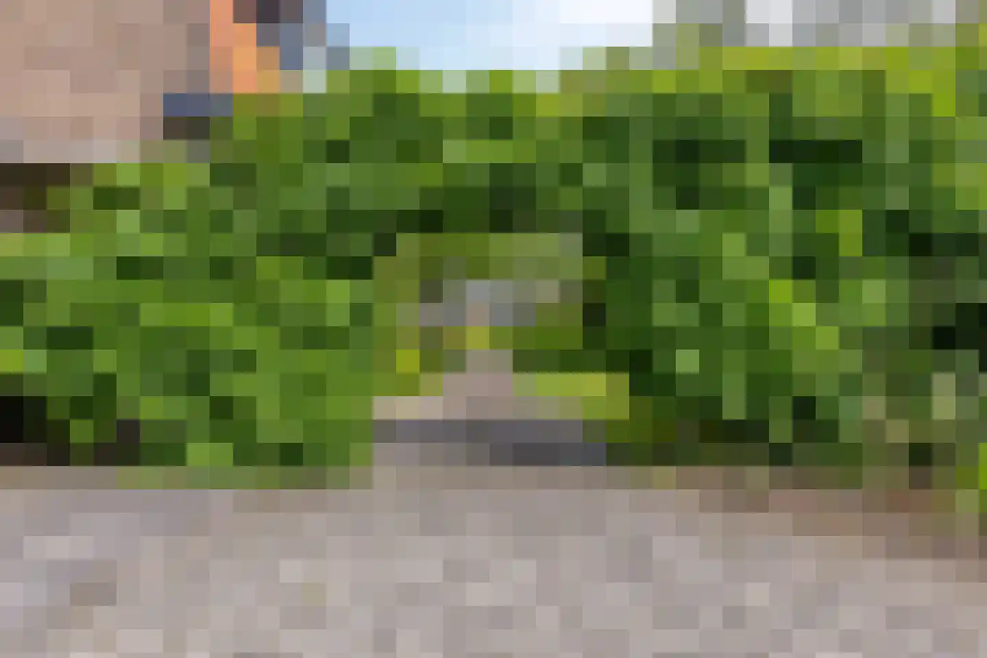 Zutphenseweg 16 Laren thumbnail 52