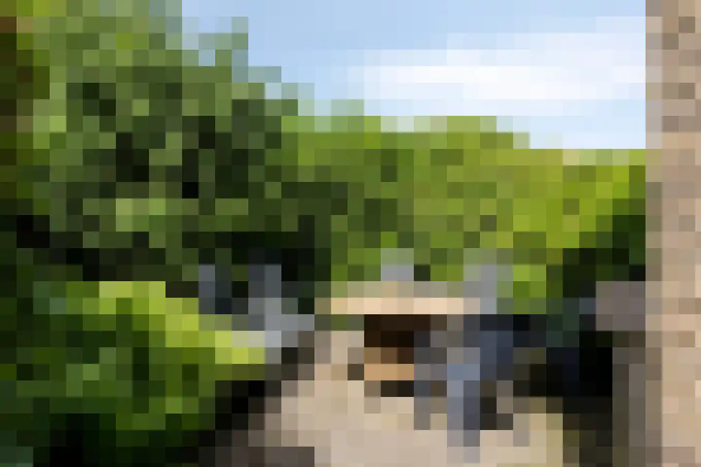 Zutphenseweg 16 Laren thumbnail 54