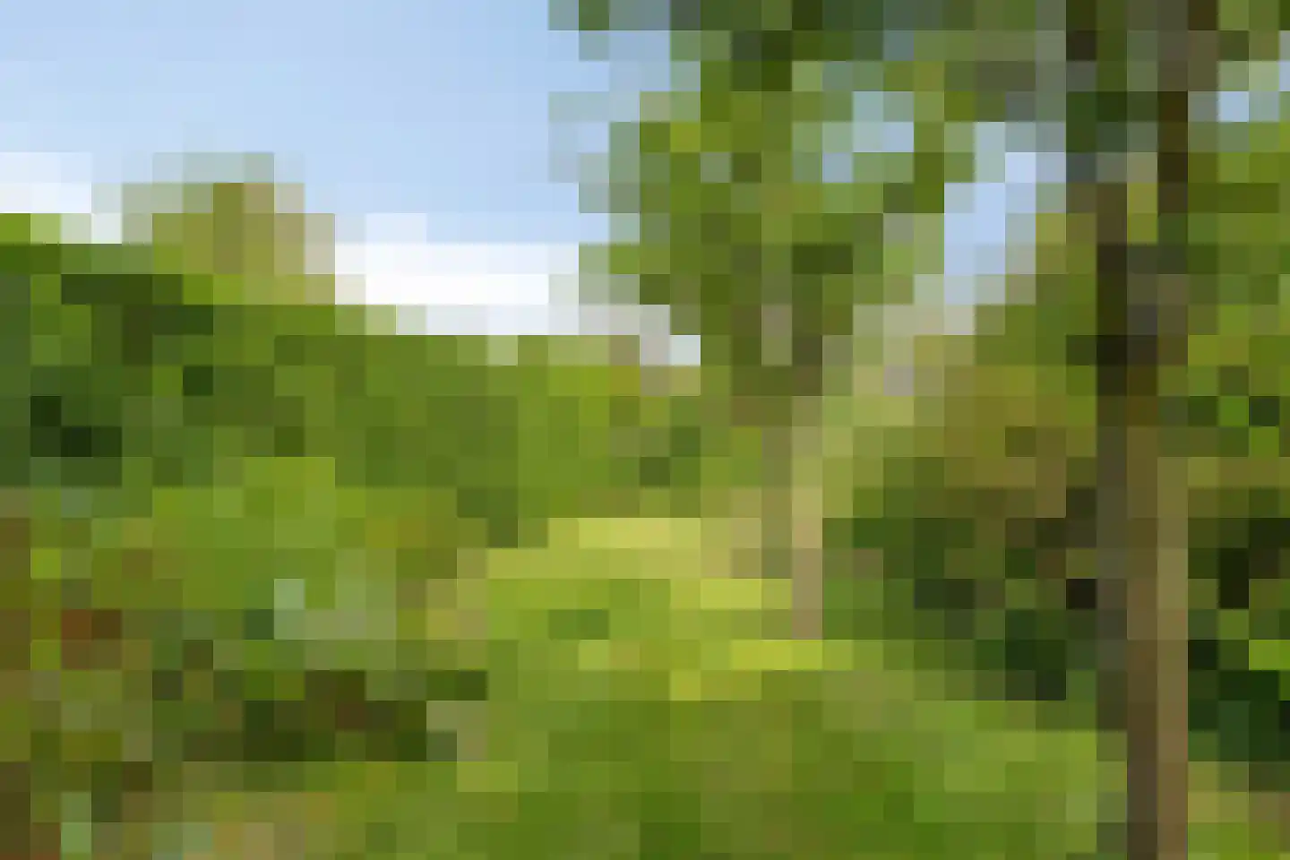 Zutphenseweg 16 Laren thumbnail 56