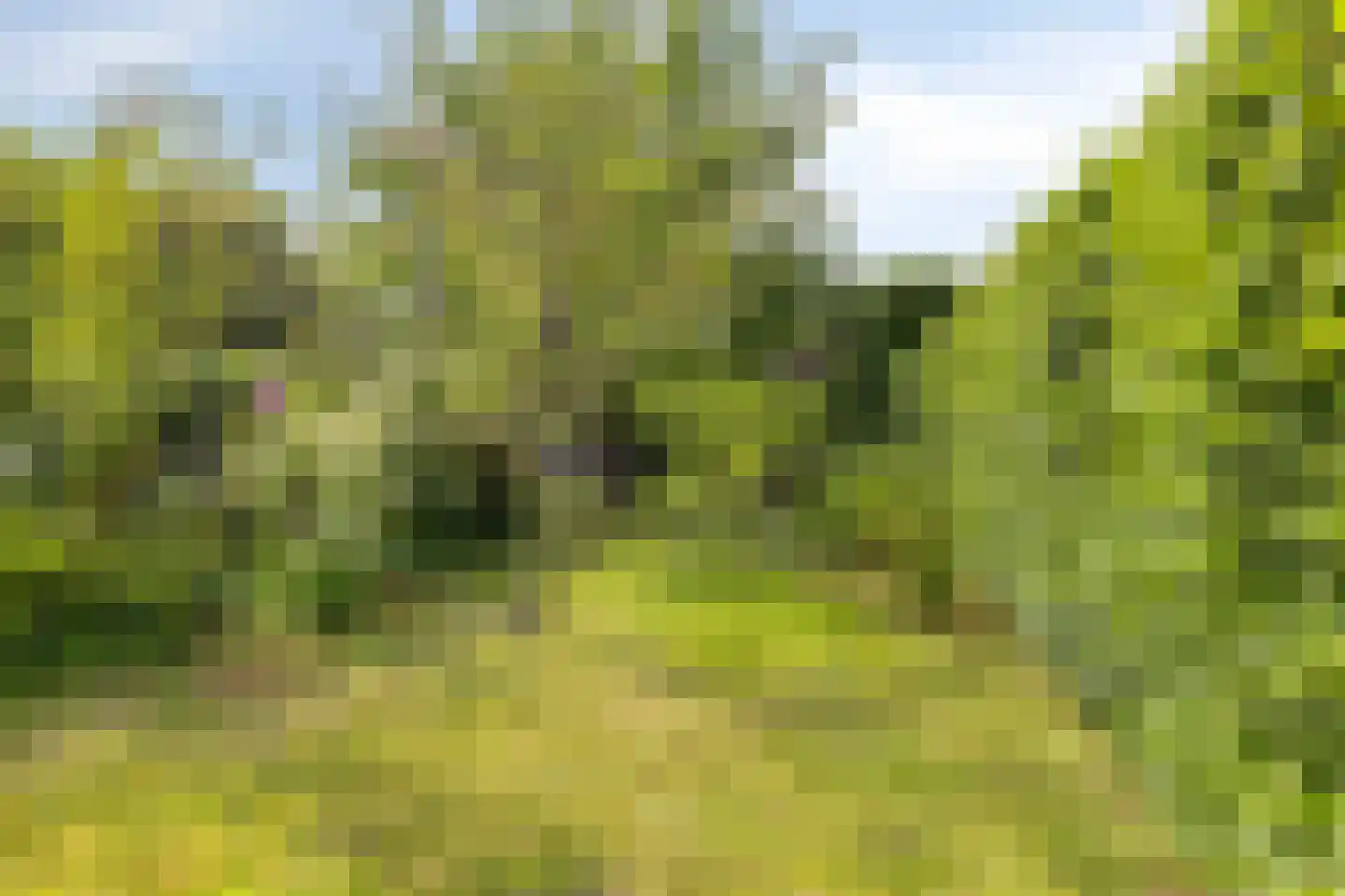 Zutphenseweg 16 Laren thumbnail 57