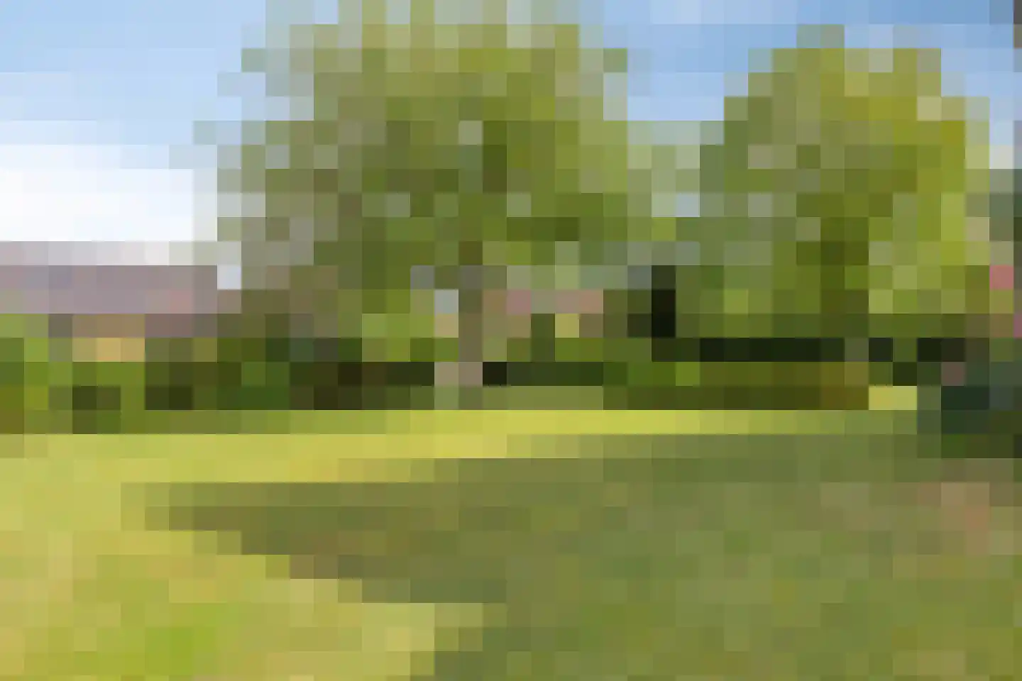 Zutphenseweg 16 Laren thumbnail 9