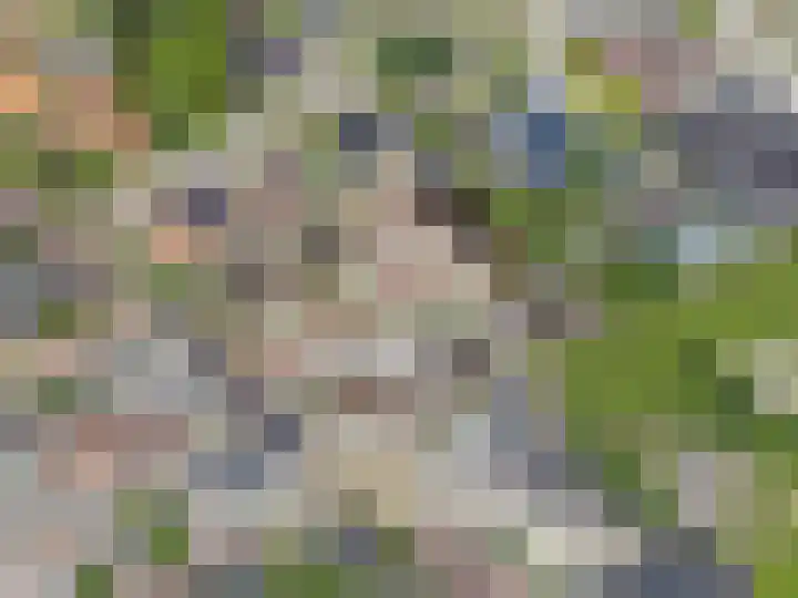 Zutphenseweg 2 c Laren thumbnail 21