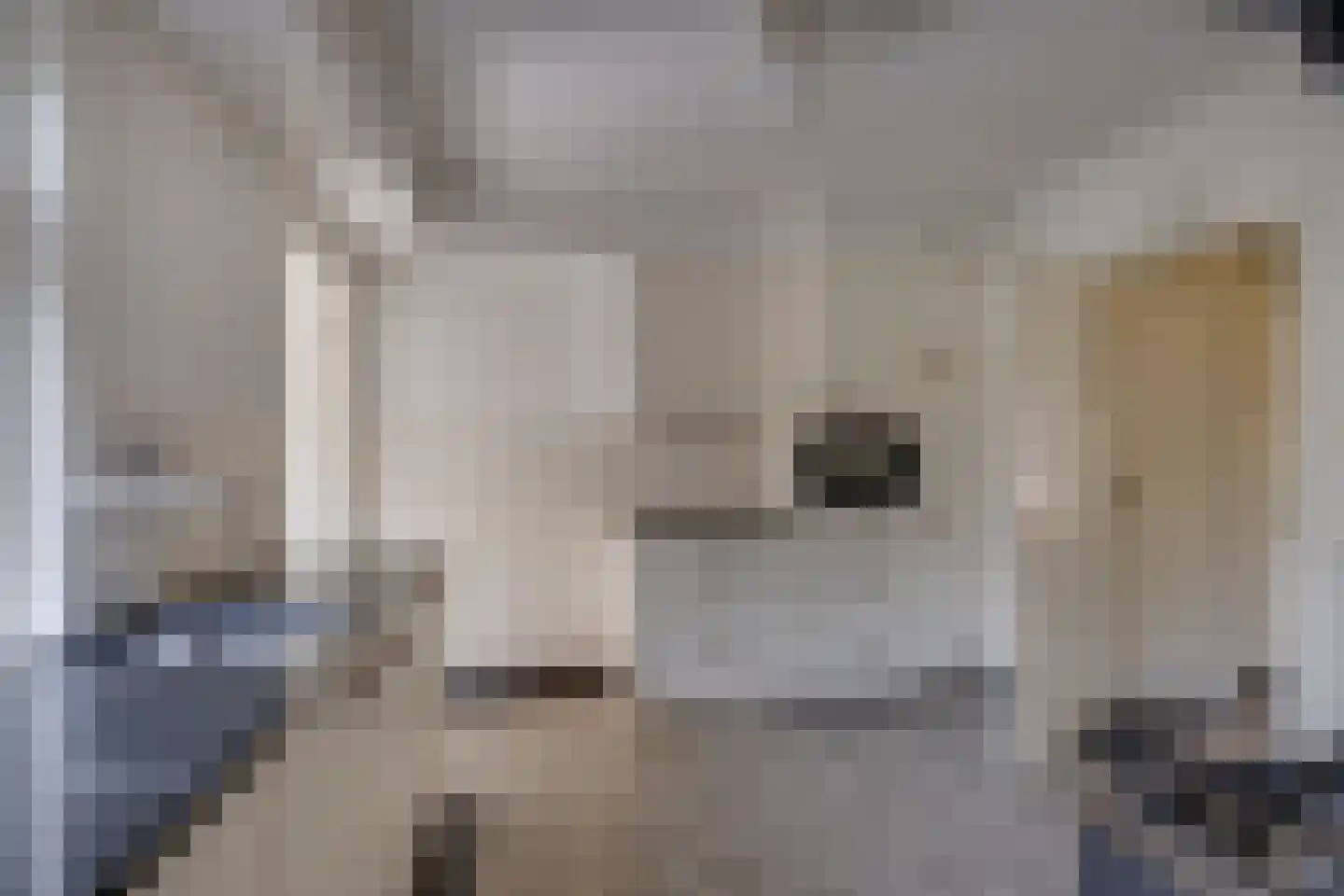 Zutphenseweg 2 d Lochem thumbnail 10