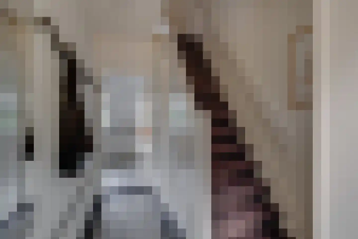 Zutphenseweg 2 d Lochem thumbnail 14