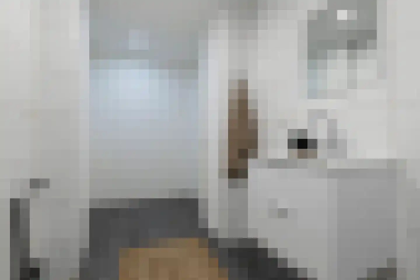 Zutphenseweg 2 Lochem thumbnail 15