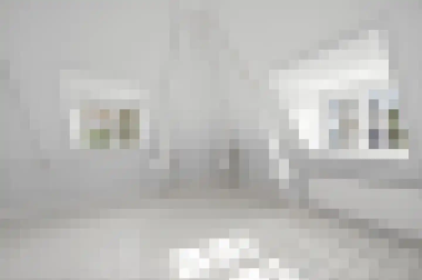 Zutphenseweg 24 Gorssel thumbnail 25