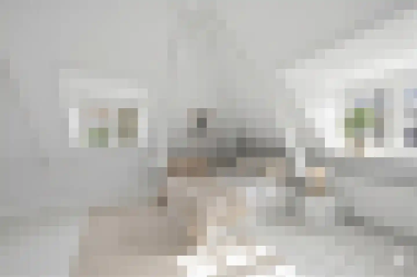 Zutphenseweg 24 Gorssel thumbnail 29