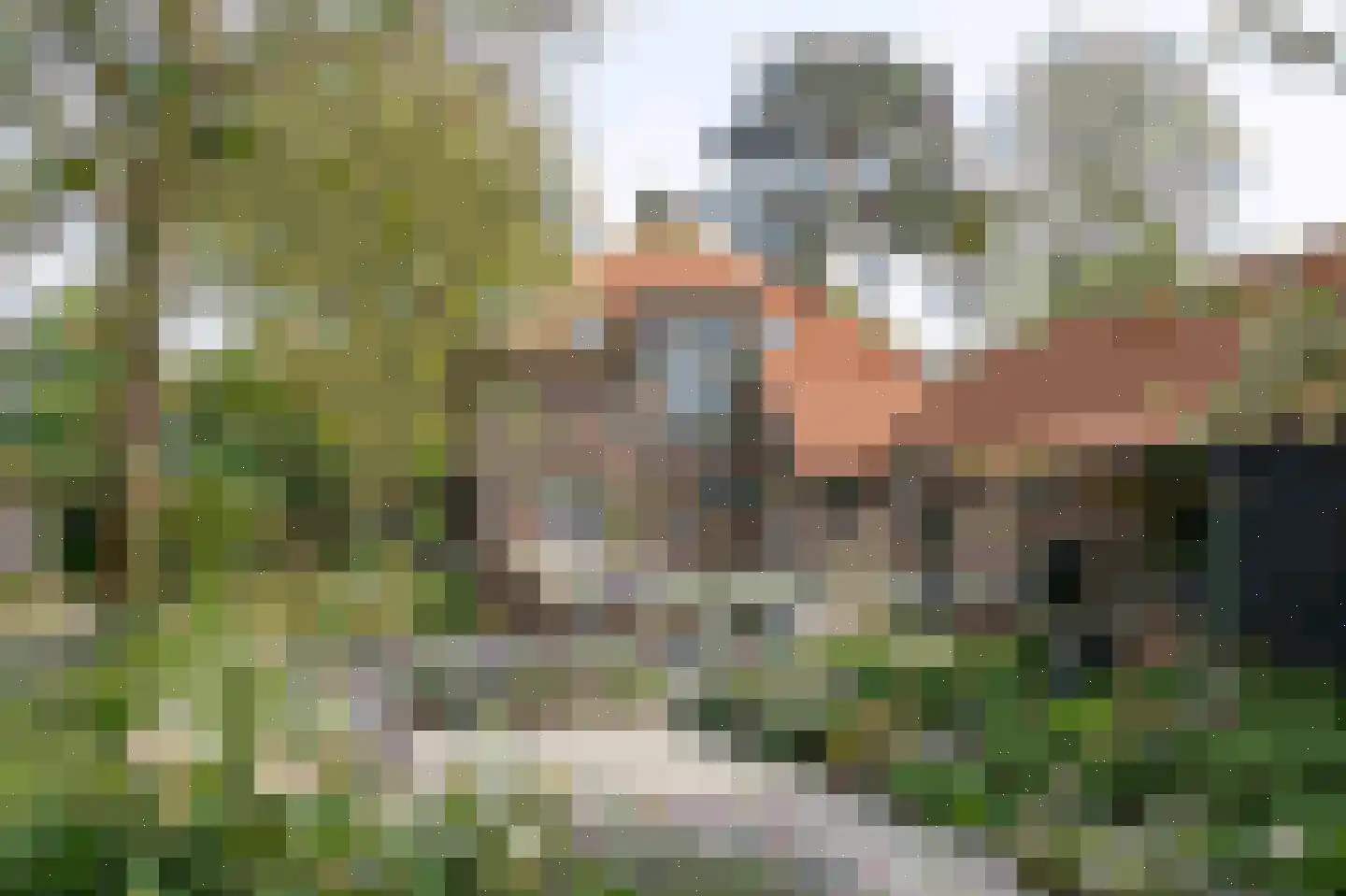 Zutphenseweg 24 Gorssel thumbnail 31