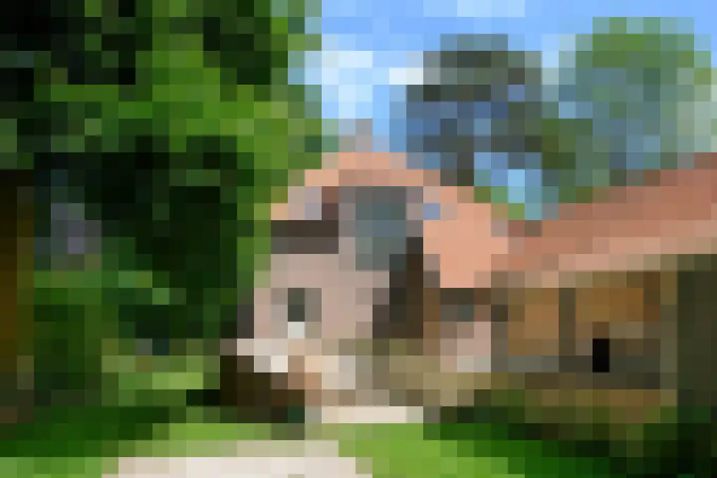 Zutphenseweg 24 Gorssel thumbnail 33