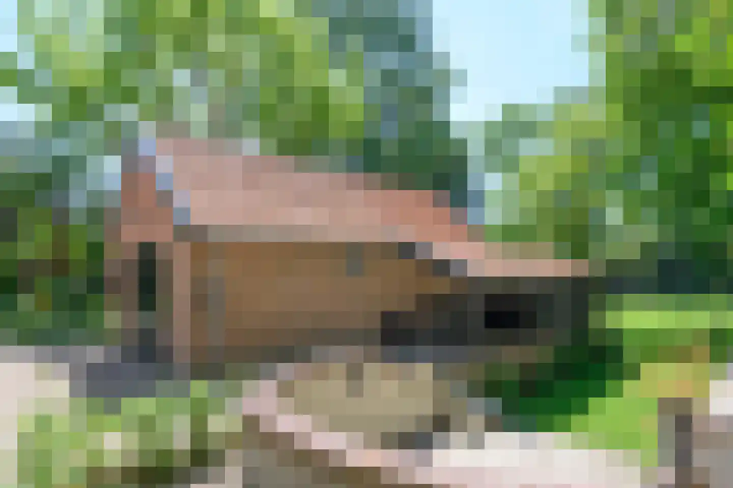Zutphenseweg 24 Gorssel thumbnail 34